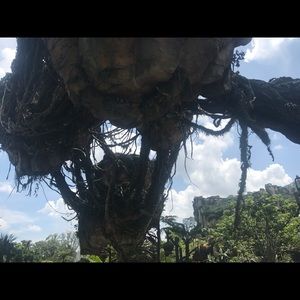 Meet your Posher, Denny